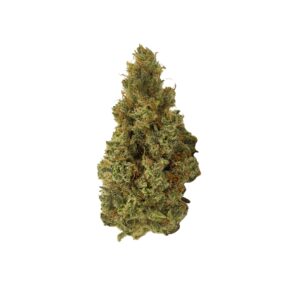 Chocolope - Togo Weed - Online Dispensary Canada
