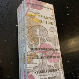 Dream Psilocybin Chocolate Bars