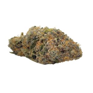 Order Tropicana Cookies (AAAA) - Koots Canna Online - Togo Weed