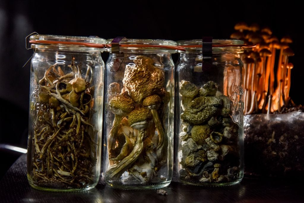 What Essential Secrets for Buying Dried Magic Mushrooms Online Safely